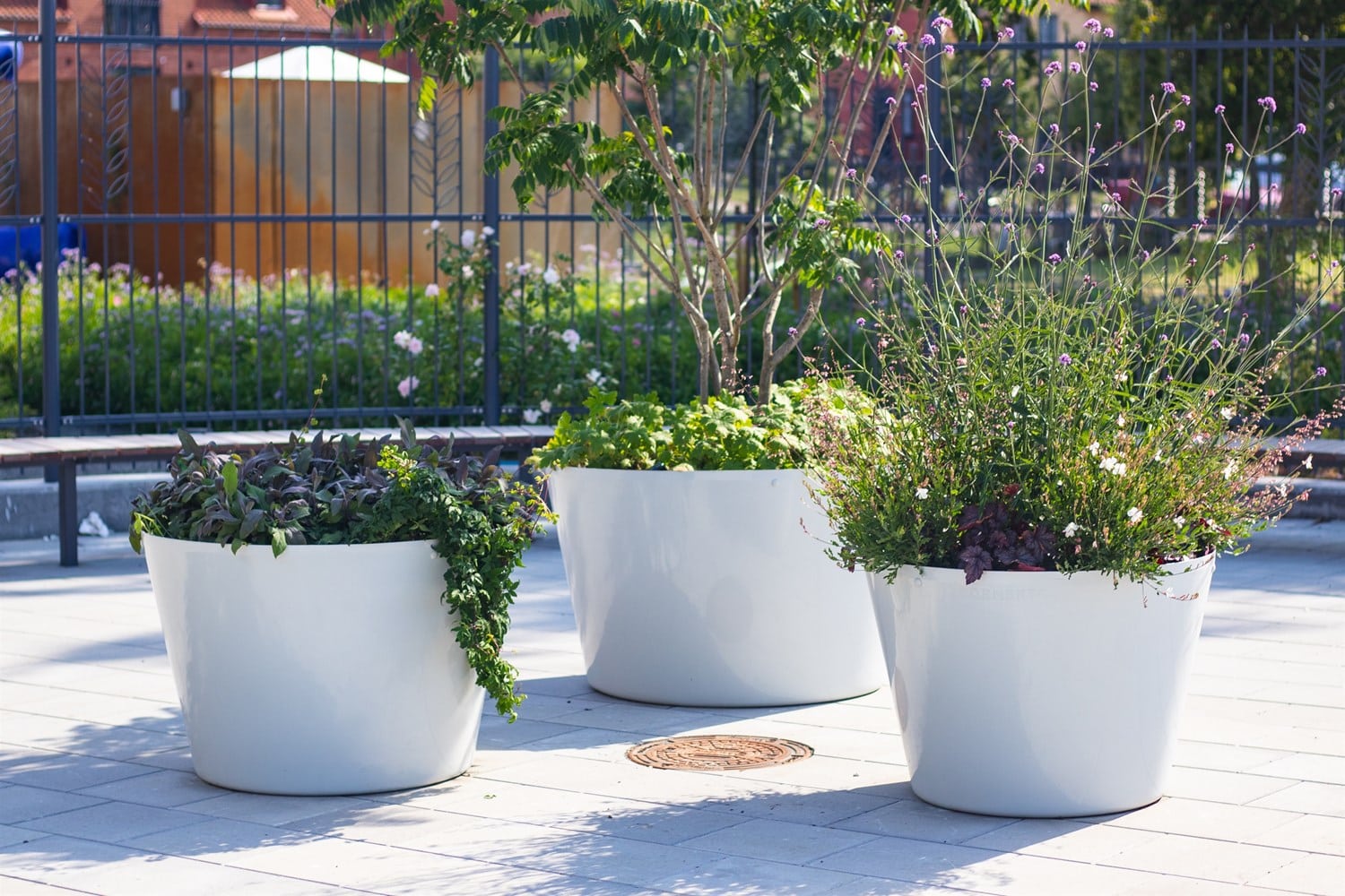 Store hvide plantekrukker med grønne planter udendørs